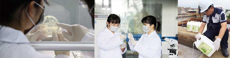 總氮菌-3天見效，15天達標